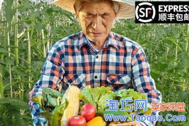 淘寶農(nóng)產(chǎn)品,淘寶農(nóng)產(chǎn)品屬于什么類目